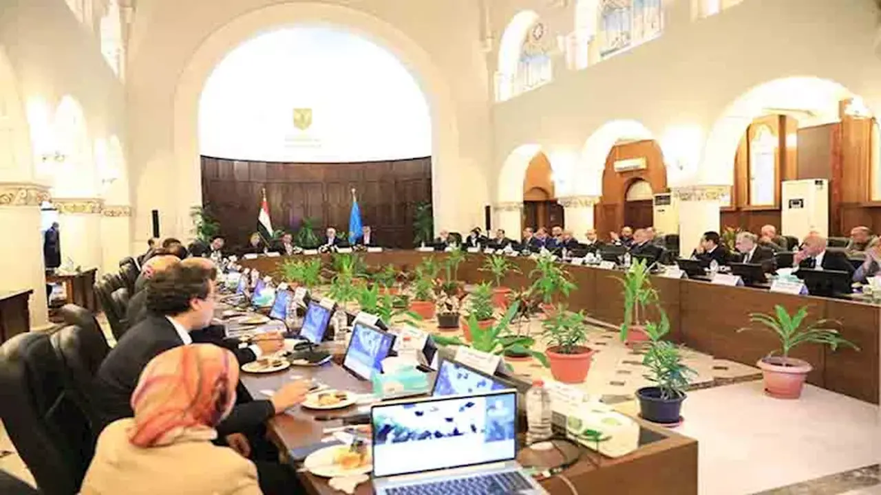 ليس أونلاين.. شروط الدراسة بالخارج ومعادلة الشهادات الأجنبية للطلاب المصريين